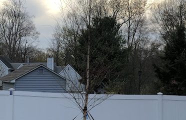 Morin Landscaping