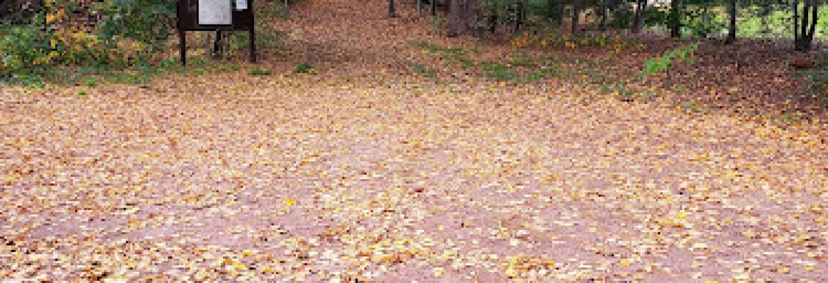 Jesse Fowler Smith Memorial Forest