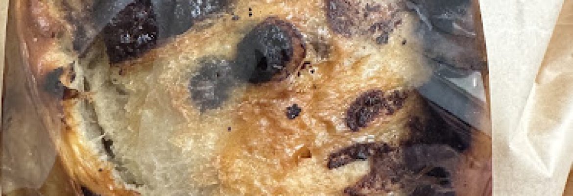 Honey Bear Breads