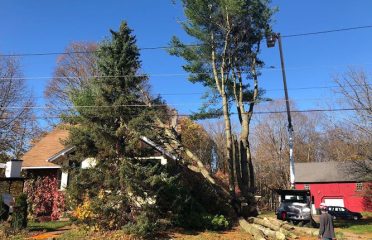 Arbortech Tree Inc.