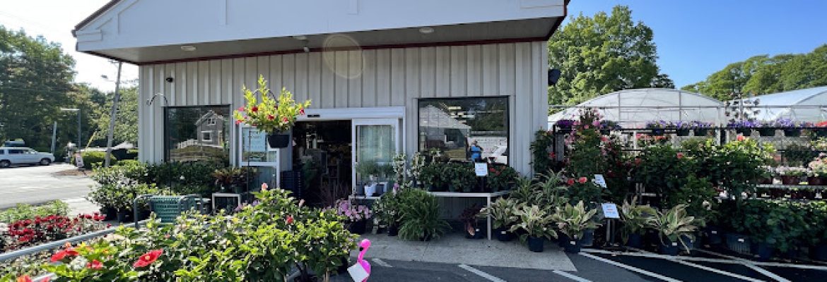 Van Wilgen’s Garden Center