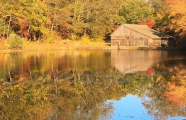 Ledyard Up-Down Sawmill