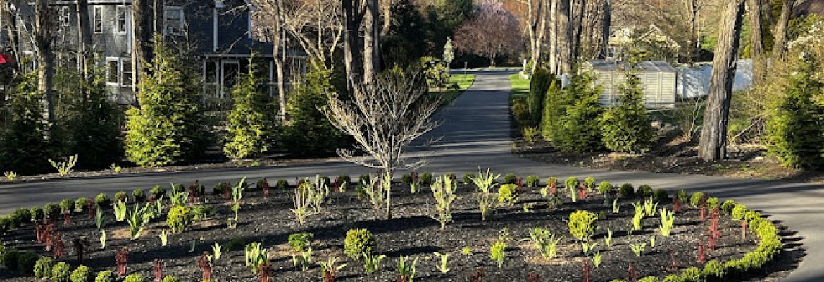Parham Tree & Home Services