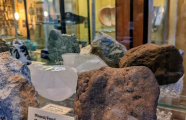 CEL Fine Collectibles & Appraisers