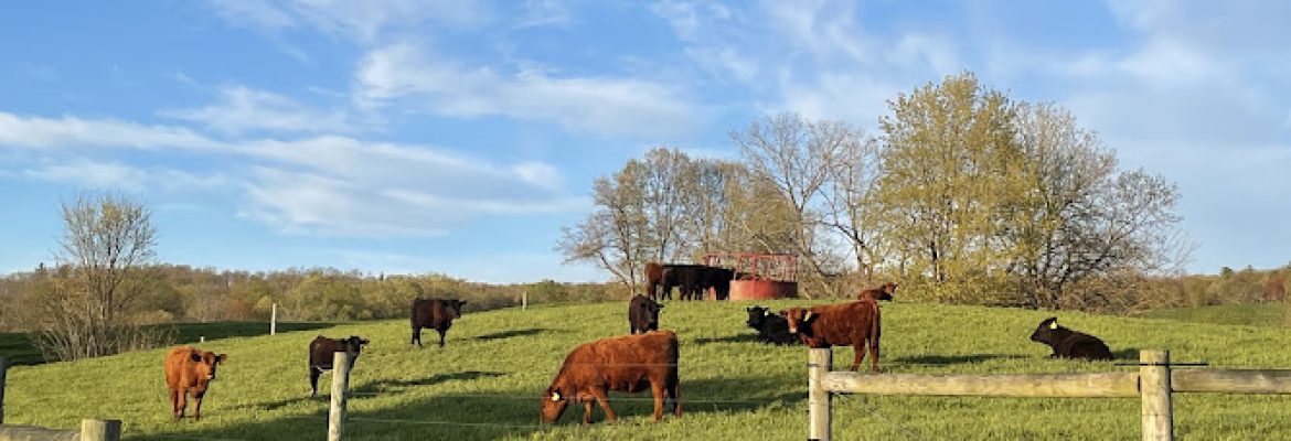 Pleasant View Farms INC