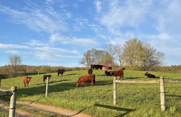Pleasant View Farms INC