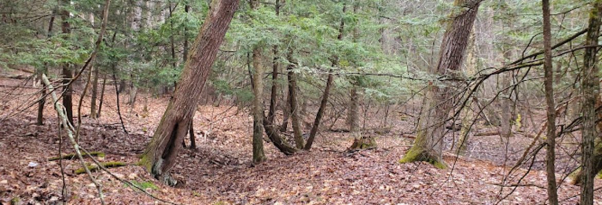 Stratton Brook Open Space Trailhead