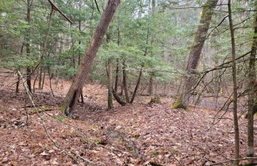 Stratton Brook Open Space Trailhead