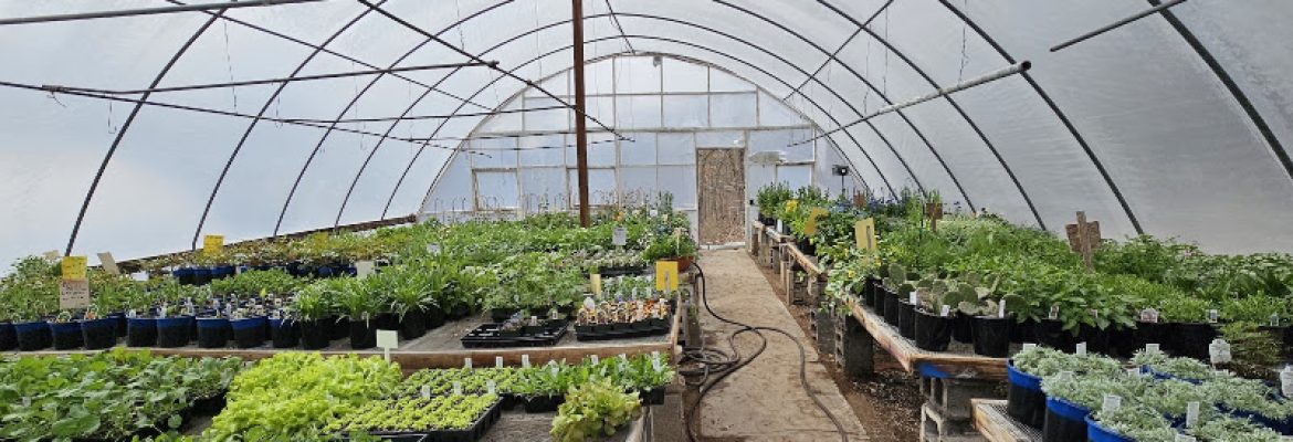 Ledgecrest Greenhouses