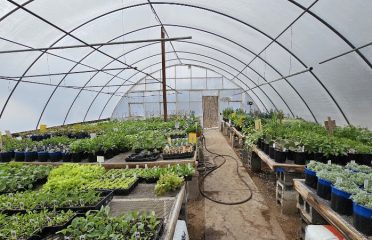 Ledgecrest Greenhouses