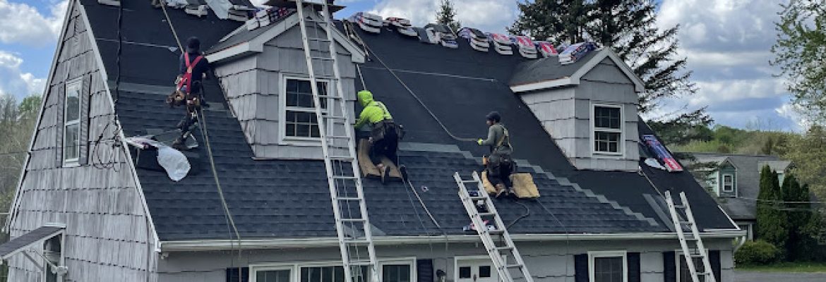 Easy Roofing