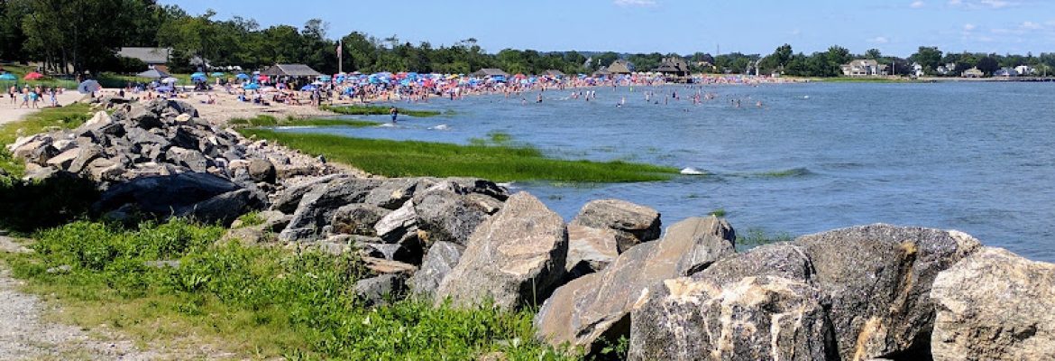 Greenwich Point Beach