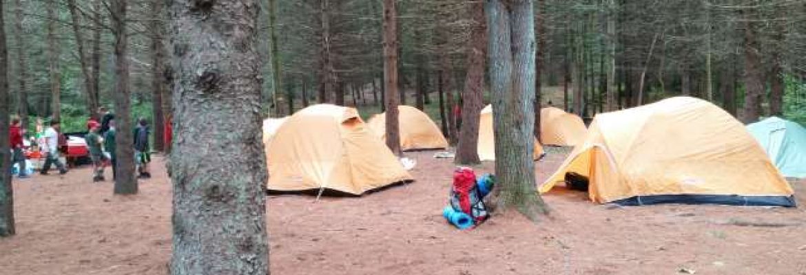 Webb Mountain Campsites 8-11
