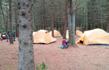 Webb Mountain Campsites 8-11