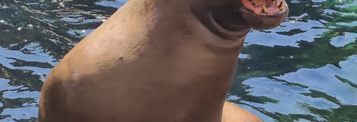 Mystic Aquarium