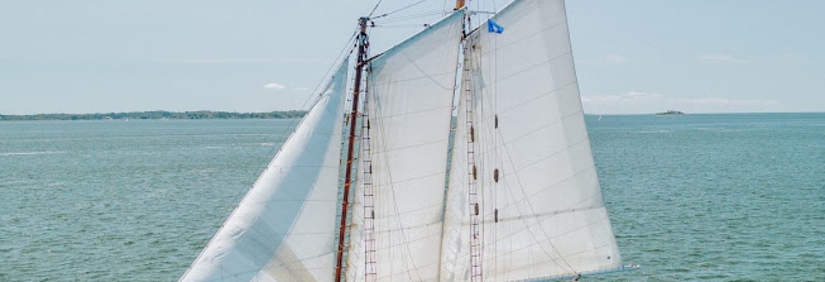 Argia Mystic Cruises