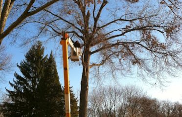 All Terrian Tree Removal