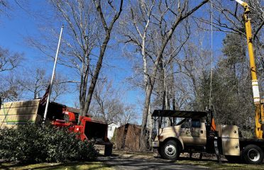 Evergreen Tree Service