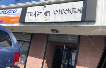 Trap chicken