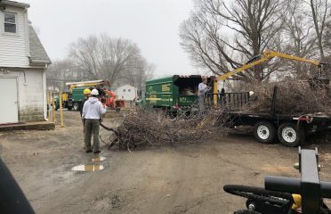 R&T Tree Removal LLC