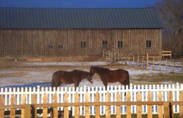 Someday Farm