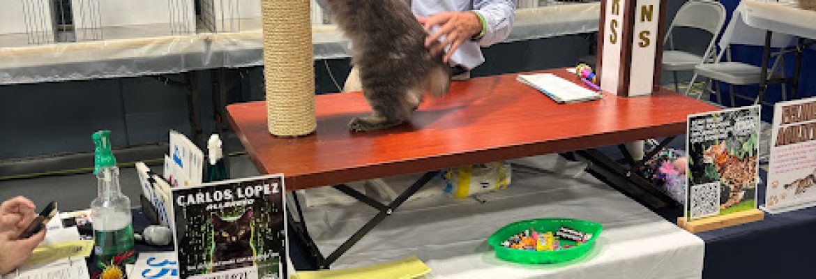 Happy Paws Llc Professional Pet Grooming