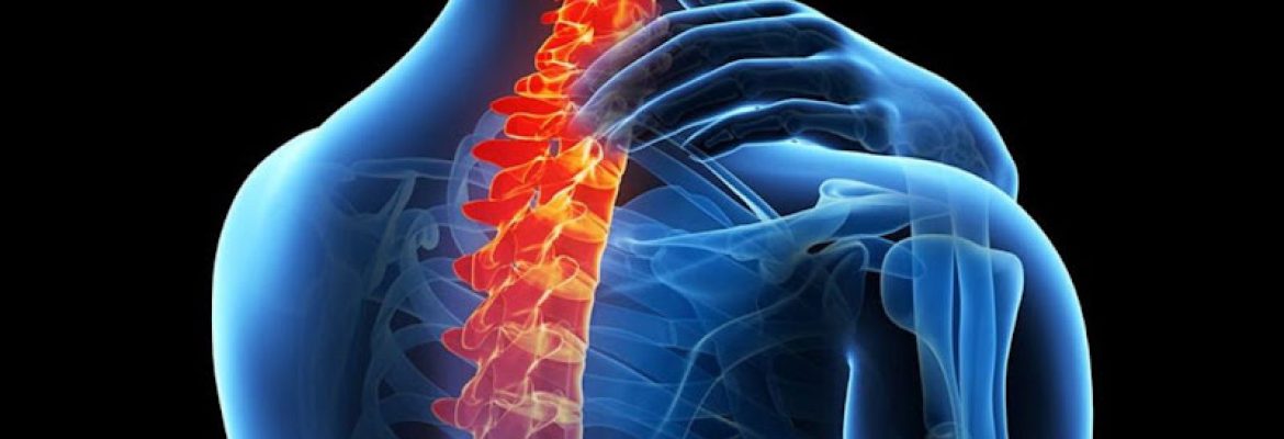 Litchfield County Orthopedic & Spine, P.C.