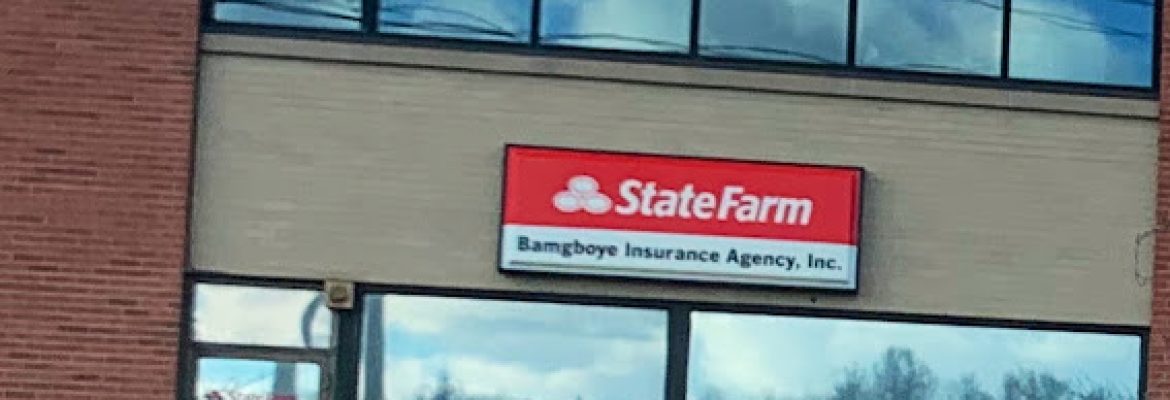 Chris Bamgboye – State Farm Insurance Agent