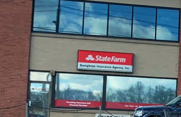 Chris Bamgboye – State Farm Insurance Agent