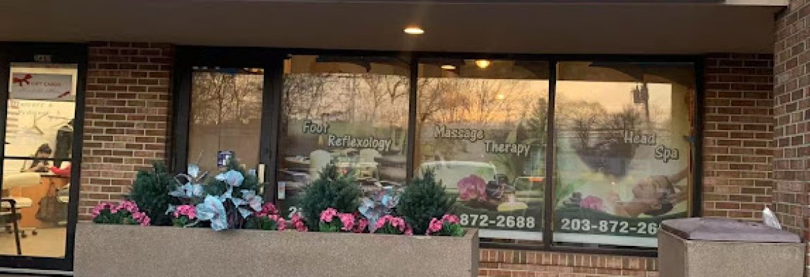 Wellness Spa