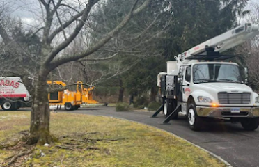 Posada’s Landscaping Llc