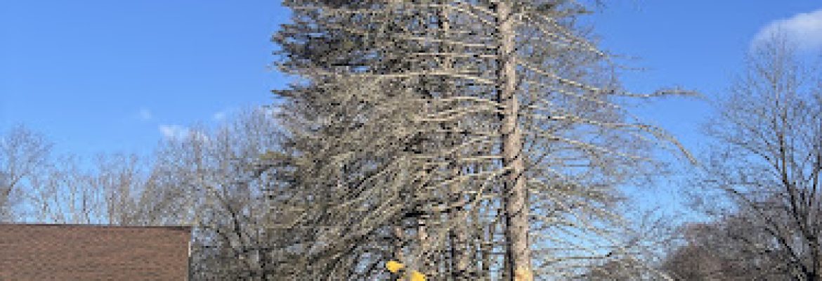 Critton Property Maintenance LLC
