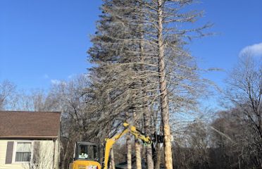 Critton Property Maintenance LLC