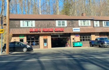 Dorise’s Parkside Motors, LLC