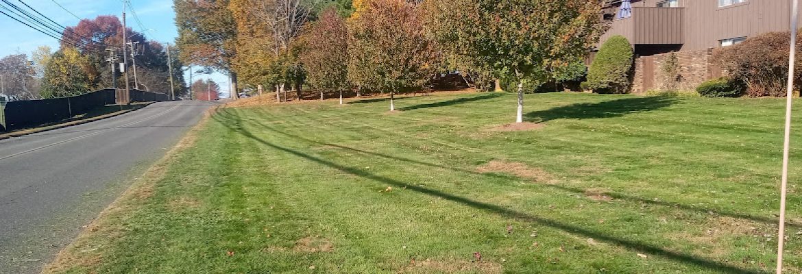 Dill Landscaping & Fence Company