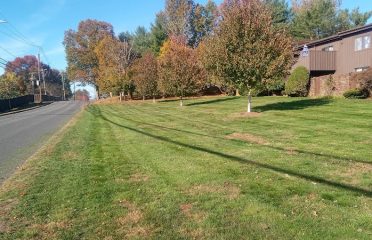 Dill Landscaping & Fence Company