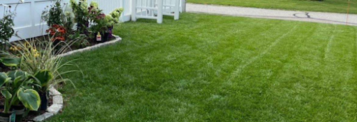 American Landscape and Lawn Science