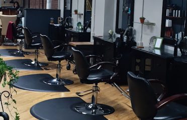 B. Lee & Co. Salon