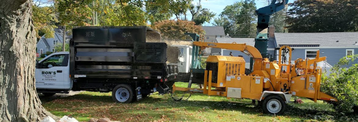 Ron’s tree removal