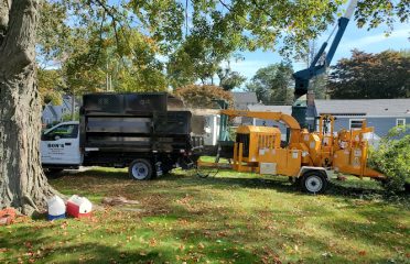 Ron’s tree removal