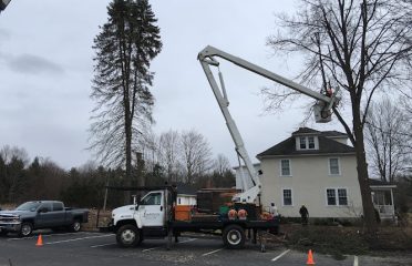 Watson Treeworks