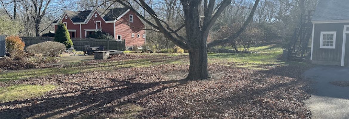 365 Lawn and Landscape LLC