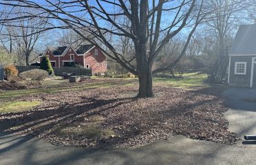 365 Lawn and Landscape LLC