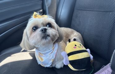 PetSmart