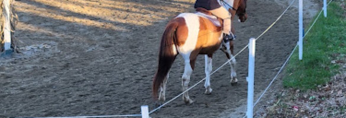 Hidden Brook Stables