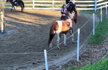 Hidden Brook Stables