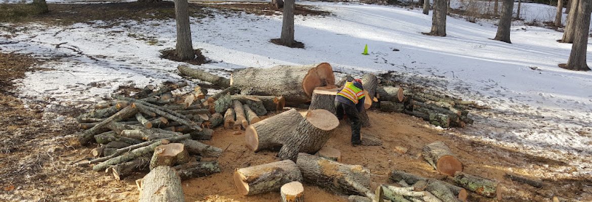 Affordable Landscaping & Tree Works LLC