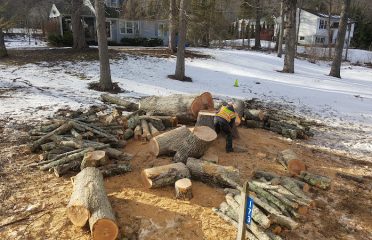 Affordable Landscaping & Tree Works LLC