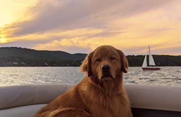 Thor Island on Candlewood Lake