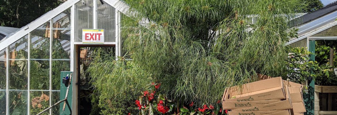 Logee’s Plants for Home & Garden